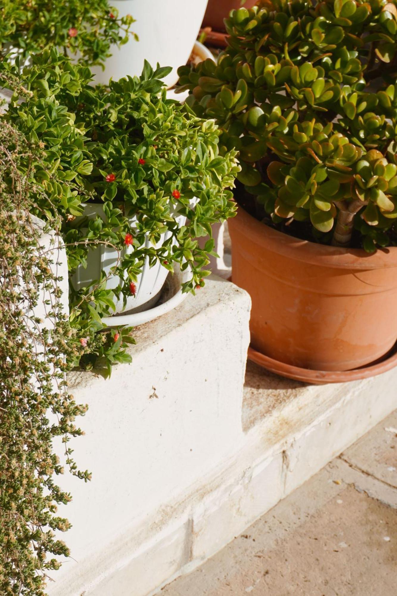 Casa Con Terrazza Villa Polignano a Mare Luaran gambar